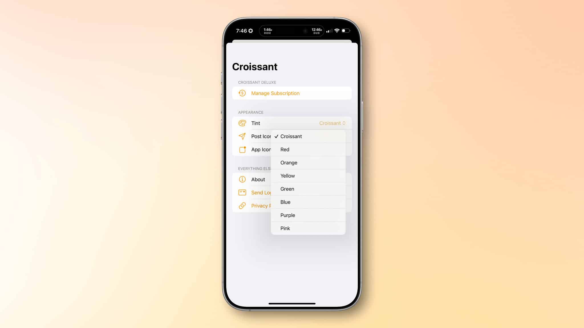 Croissant's tint color, app icon, and posting button icon are all customizable.