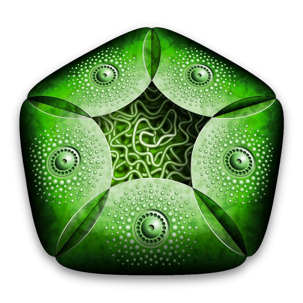 DEVONagent Pro 3 icon