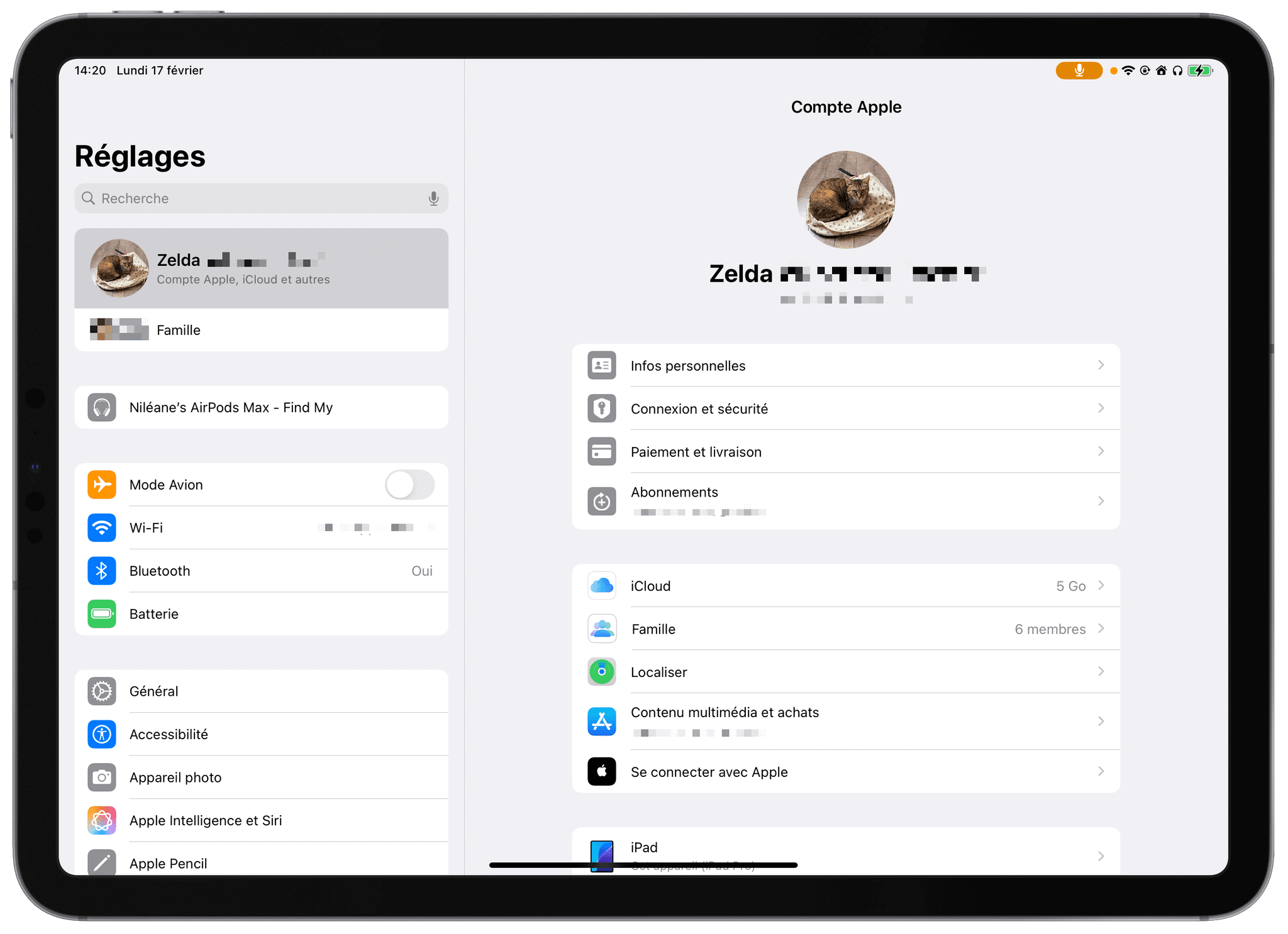 I created a brand-new Apple Account dedicated to our shared iPad. I named it after our only child (our cat, Zelda).