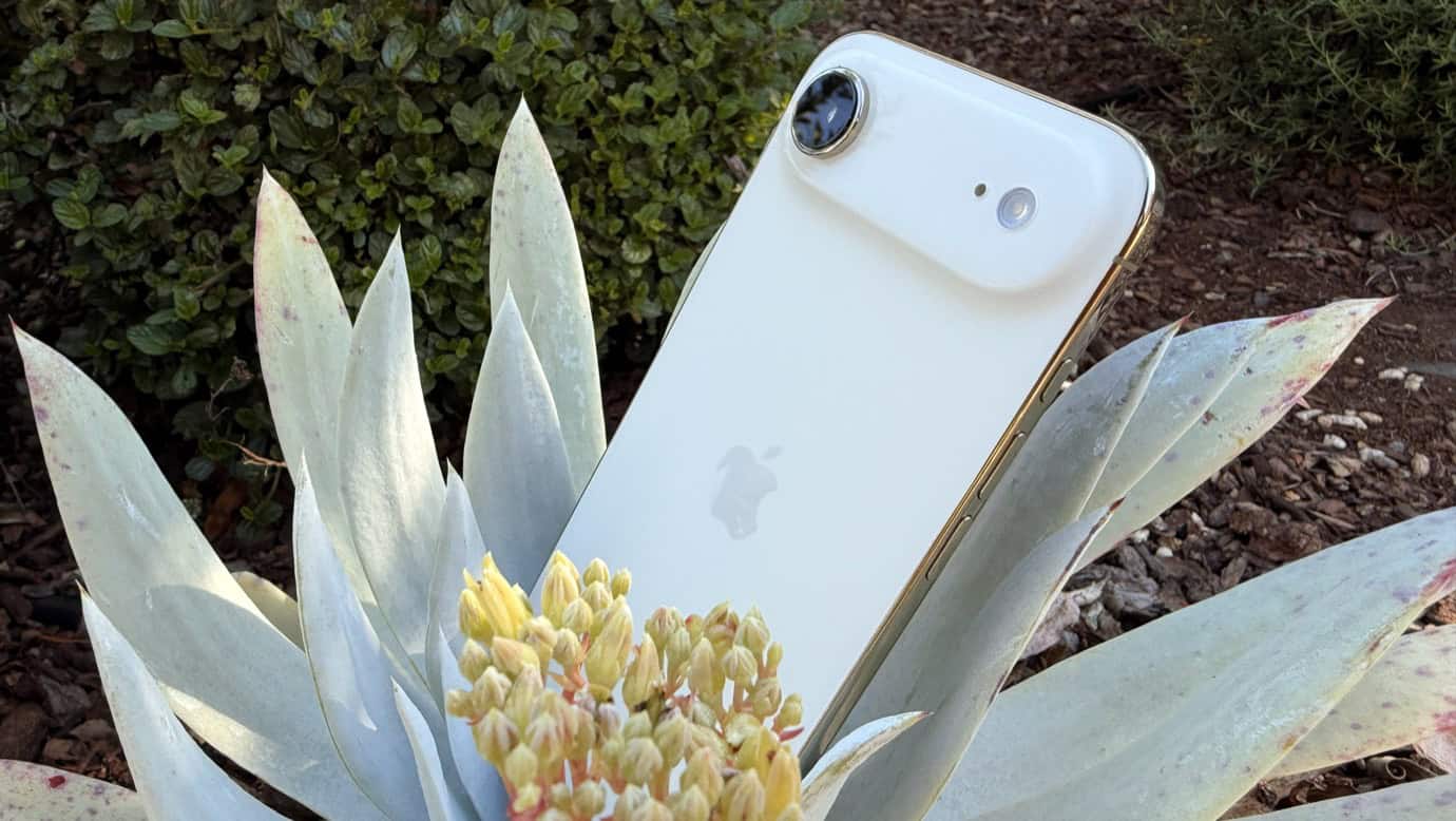 A white smartphone with a single camera lens on a gold frame rests on a succulent plant with spiky leaves and a yellow flower.