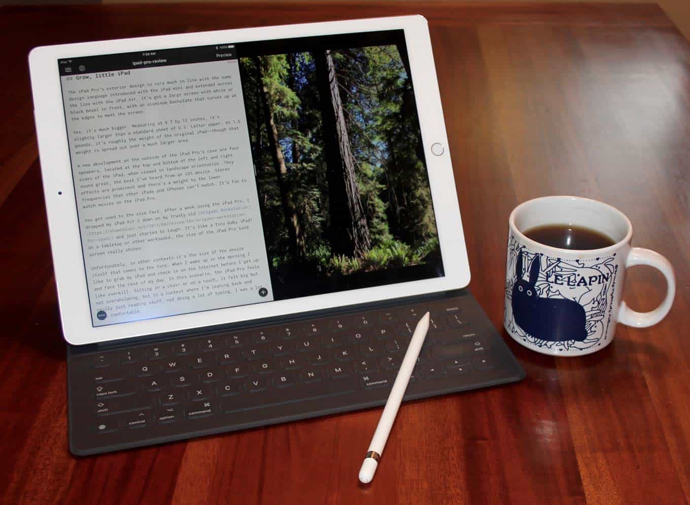 iPad Pro